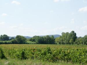 Villas Vineyard Villa in Montfrin, cleaning included : photos des chambres