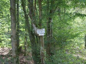 Maisons de vacances Holiday Home in Vosges Nature Park, cleaning included : photos des chambres