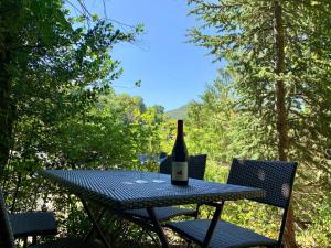 Appartements Villa in Saint-Nectaire near Ski Slopes, cleaning included : photos des chambres