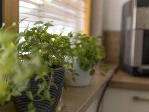 Holiday apartment with 2 bedrooms