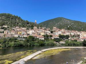 Maisons de vacances Villa in Roquebrun with Pool & Vineyards, cleaning included : photos des chambres