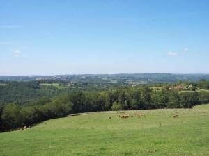 Maisons de vacances Romantic Cottage, Berbiguieres, cleaning included : photos des chambres