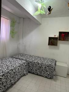 Apartamento diária São João