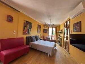 Appartements Lumieres a Collioure : photos des chambres