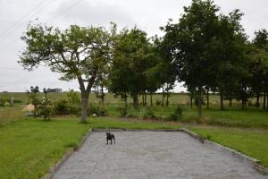 Maisons de vacances La ranjardiere : photos des chambres