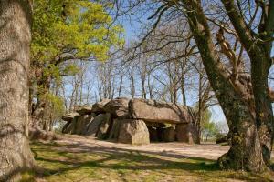 Maisons de vacances La ranjardiere : photos des chambres