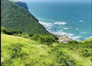 Sunrise On Sea Backpackers