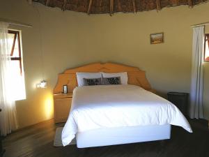 Sunrise On Sea Backpackers