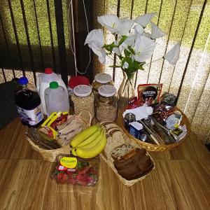 HOUSE OF THE FUTURE MANSION MASTER BEDROOM, In W LANSING