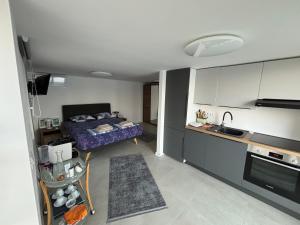 Olive Tree Apartment