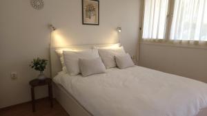 Apartment Romana with a spacious terrace