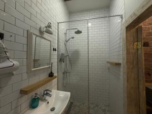 Loft-style apt on Virmenska str