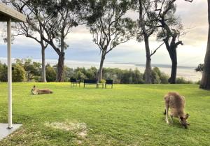 Sunset Spectacular 180 degree City Skyline and Water Views