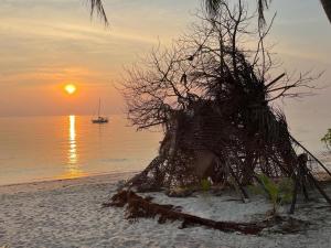 Beachfront Tiny House, Koh Samui, Thailand with FREE Rowboat