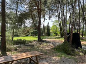 Appartements Chalet dans les bois : photos des chambres