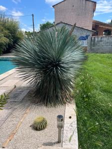 Maisons de vacances Provencal house with pool : photos des chambres