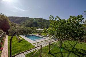 Podere Maria Lena, Casentino