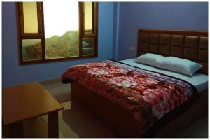 Mountain View Hotel "Divine !Hill" Near Power House Bus Station - #Offers Rooms With Free Wi-fi Facility - Restaurant & Free Parking Available - Best Location In Śhimla