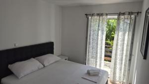 Apartments Bojana Rab