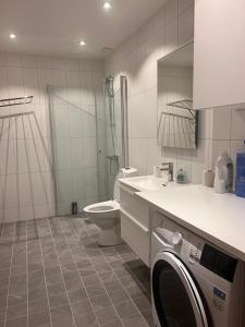 Beautiful Apartment with a Loft