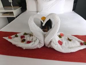 Shalakwe Hills-Inn Guesthouse Kasane