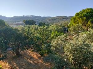 Hancı konağı pansiyon