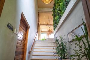 Ricehaven Luxury Villas with Starlink WIFI