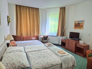 Plazza Trencianske Teplice Spa Panorama 4P