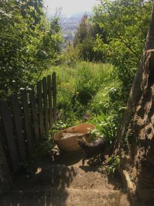 Maisons de vacances Maison ardechoise avec panorama : photos des chambres