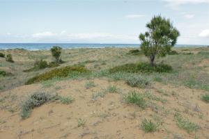 Verde Al Mare Achaia Greece