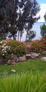 Amantani Elisas Lodge