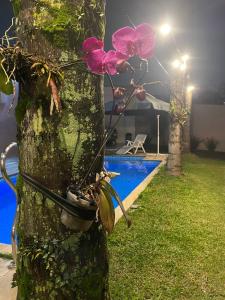 Casa com Piscina, Churrasqueira e Quartos amplos