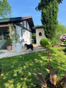 Appartements A la Colline de la bergerie : photos des chambres