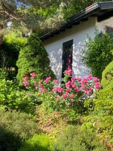 Appartements A la Colline de la bergerie : photos des chambres