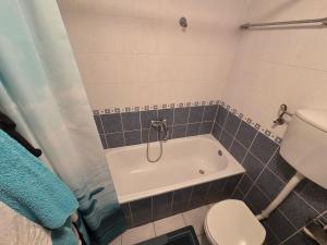 Apartman za Exit 2025