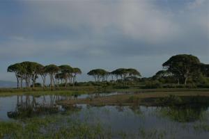 Verde Al Mare Achaia Greece