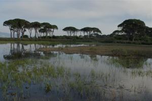 Verde Al Mare Achaia Greece