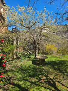 Appartements Moulin au Bord de l-Eau Calme et Nature : photos des chambres