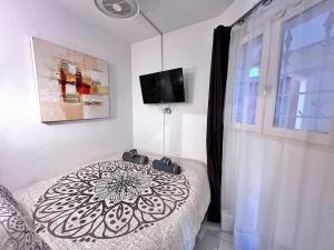Appartements Rez de jardin privatif a 150m de la mer : photos des chambres