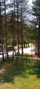 Apartman Kuršumlijska Banja