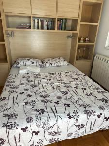 Cozy two bedroom in Belgrade