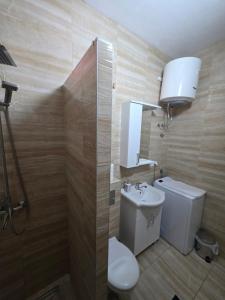 AK mini studio u centru