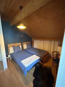 Maisons de vacances Maison avec vue Montagne pour les amateurs de Velo VTT et Randonnees Massages sur rendez-vous : photos des chambres