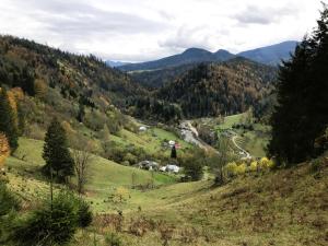 Котедж Ксенія