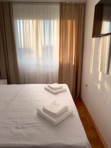 DarViva Apartment Niš, center, private garage parking, river view