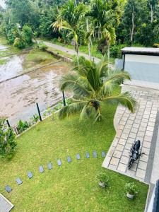 Blue Peacock Villa