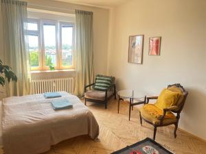 Stylový a slunný byt s uměleckým nádechem v blízkosti centra