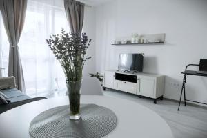 Stone Hill Apartment