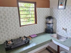 Greenwood Cabins Maroon House