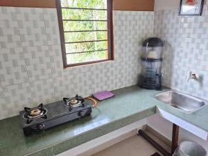 Greenwood Cabins Maroon House